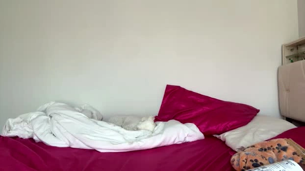 luluxoxo3 15-07-2026 Porn sexy sexygirl fuckface blowjob